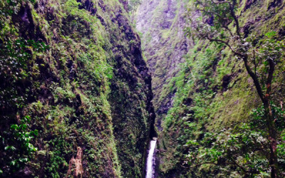 Variety_Fit_Oahu_Adventures_012