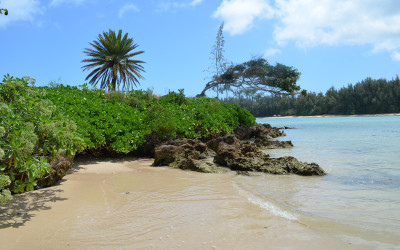 Variety_Fit_Oahu_paradise_011