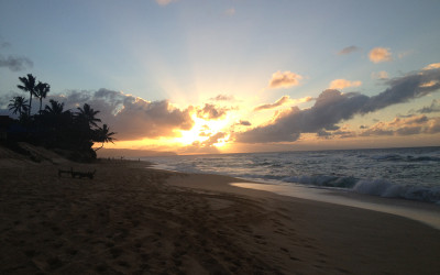 Variety_Fit_Oahu_paradise_014