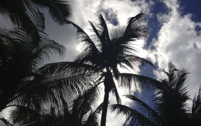 Variety_Fit_Oahu_paradise_020