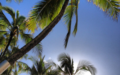 Variety_Fit_Oahu_paradise_023