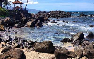 Variety_Fit_Oahu_paradise_026