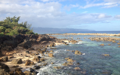 Variety_Fit_Oahu_paradise_029