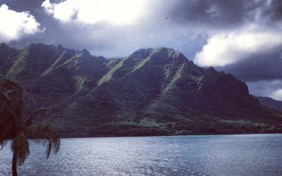Variety_Fit_Oahu_paradise_031