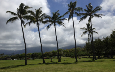 Variety_Fit_Oahu_paradise_035