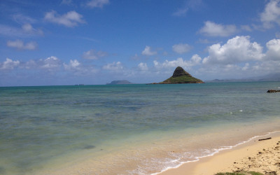 Variety_Fit_Oahu_paradise_036