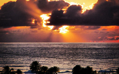 Variety_Fit_Oahu_paradise_039