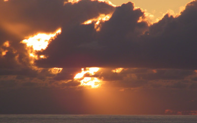 Variety_Fit_Oahu_paradise_043